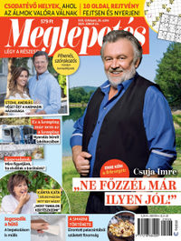 Megújuló Meglepetés előfizetés 1 hónap magazin borítója