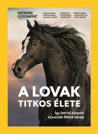 A lovak titkos élete különszám magazin borítója