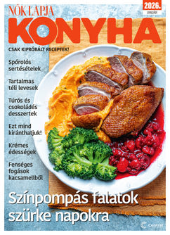 Nők Lapja Konyha előfizetés 12 lapszám magazin borítója
