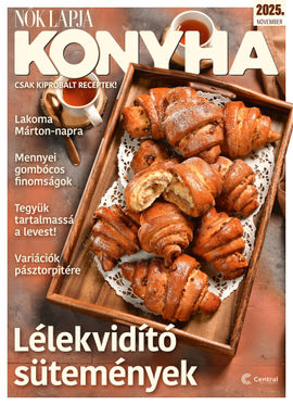 Nők Lapja Konyha magazin borítója